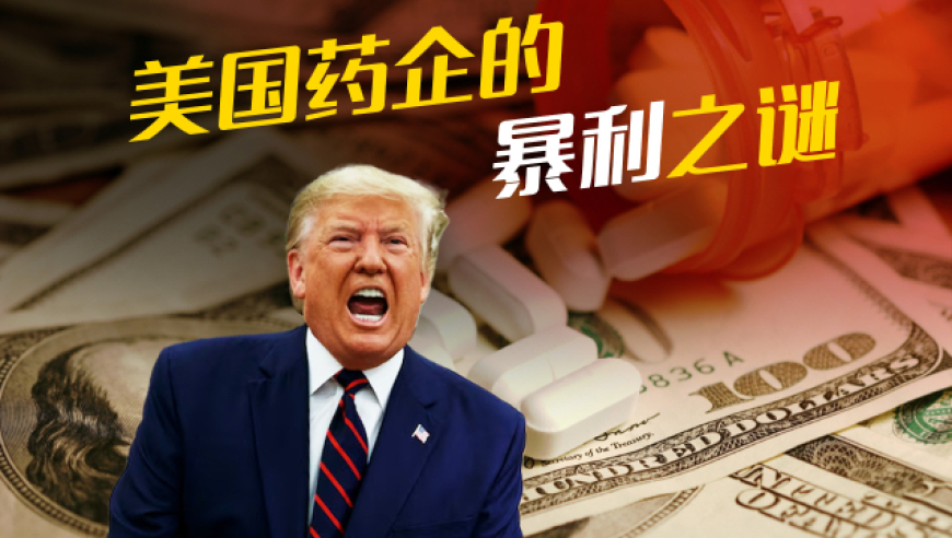 居民拆房挖出一条40斤重娃娃鱼,澳门网站资料大全2025,最新核心解答落实_轻量版V1.17