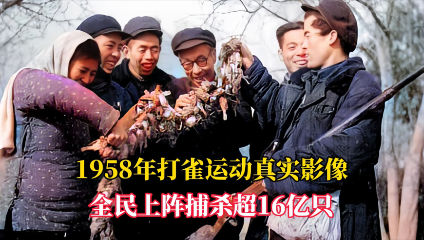 职业女哭灵人半个月连哭16场,香港马彩资料一码中恃,展开解析落实_钻石版V12.72