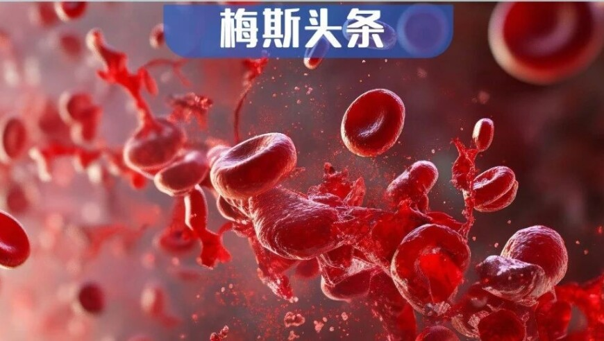 2025新澳正版资料免费大全精准,知名民营口腔机构福斯曼爆雷,前瞻性战略落实探讨_基础版V6.67